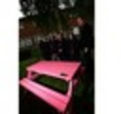 Pink bench unveiled in memory of Nicole