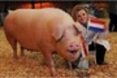 2013 royal bath and west show proves farming's future is in good hands